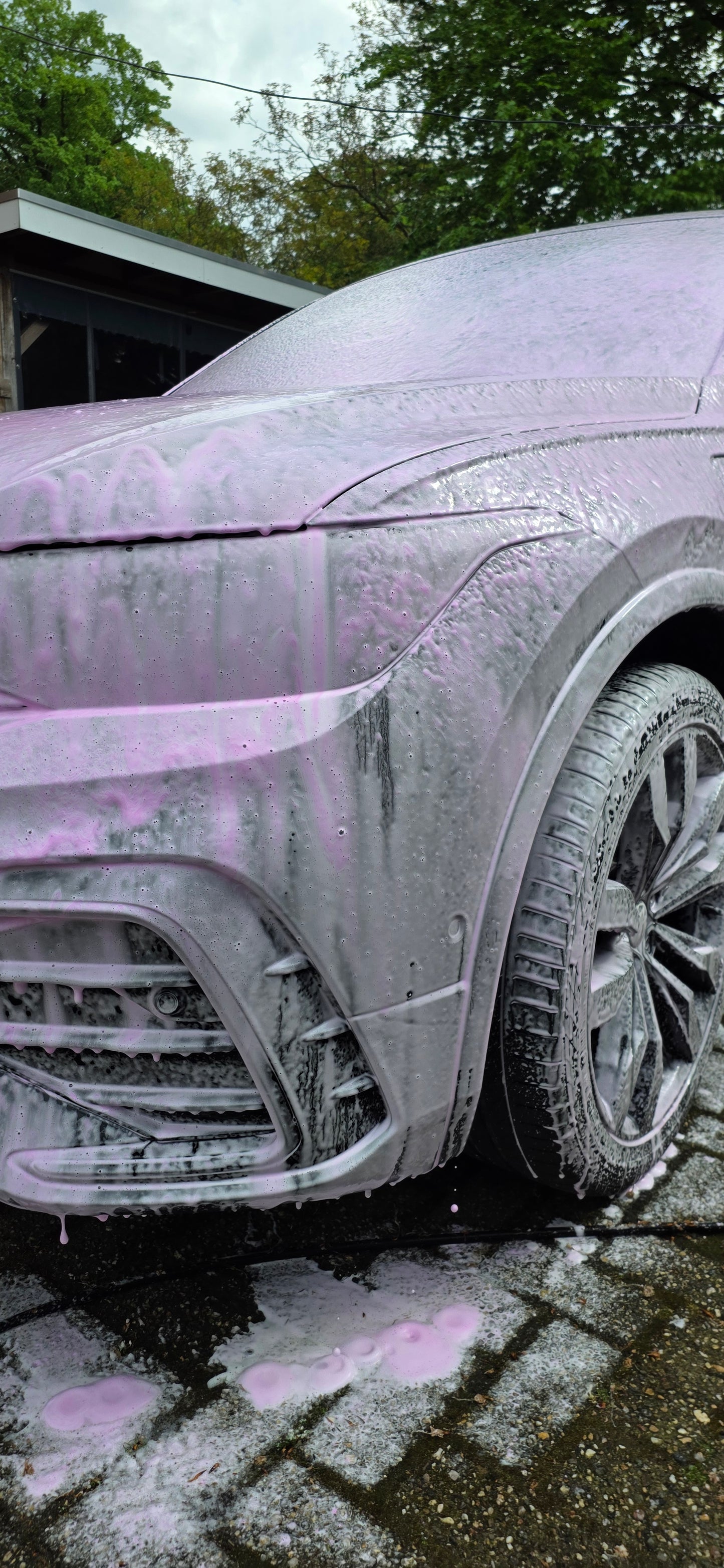 Pink Pre-Wash Snow Foam